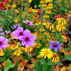 Colorful fall garden with blooming native plants in Milwaukee